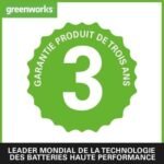Desbrozadora Greenworks GST1246