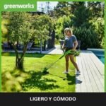 Greenworks G24LT28K2