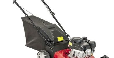 Cortacésped MTD Smart 42 PO