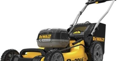Cortacésped DeWalt DCMW220P2