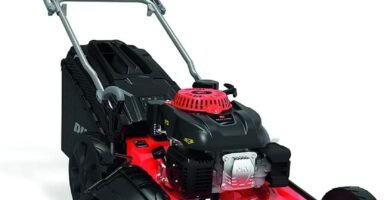 Cortacésped Ducati DLM5300