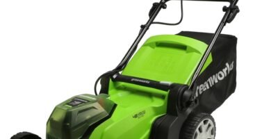 Cortacésped Greenworks G24X2LM41