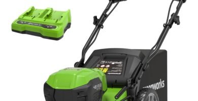 Cortacésped Greenworks GD24LM46SP