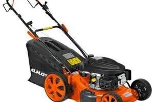 Cortacésped Anova CC246T